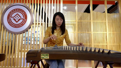 旅游志愿服務(wù)全面升級(jí) 景上添花的旅游信息咨詢